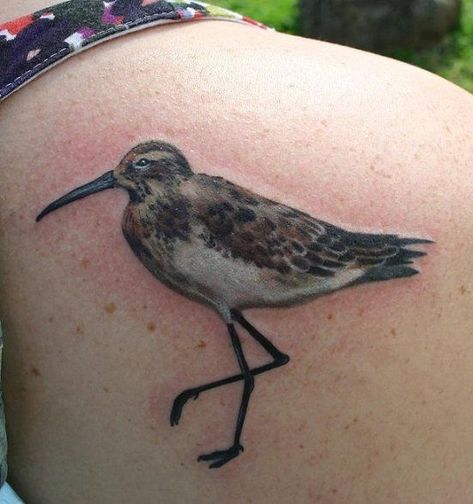 Sandpiper Tattoo, Running Tracks, Sandpiper Bird, Bird Tattoos, Brown Bird, Bird Tattoo, Birds Tattoo, Tattoo Design Drawings, Pretty Tattoos