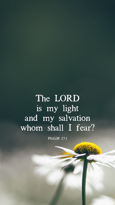 🤔🤔🤔 Bible Verses For Comfort, Verses For Comfort, Psalm 27 1, The Lord Is My Light, Grace And Truth, Comforting Bible Verses, Jesus Is My Savior, Psalm 27, God And Jesus