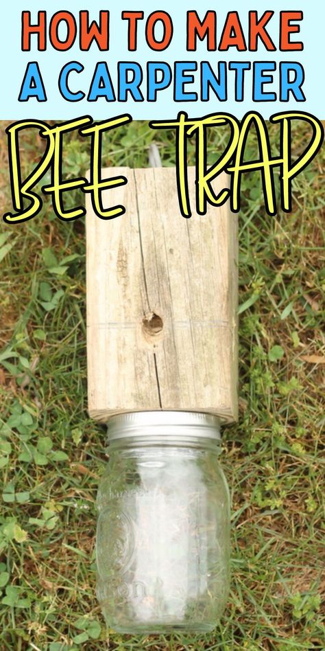 Wood Bee Trap, Bee Catcher, Bee Trap, Carpenter Bee Trap, Diy Bee, Wasp Traps, Bee Traps, Farm Diy, Wood Bees