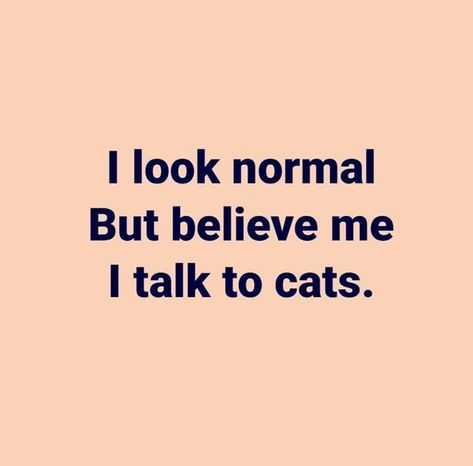 I Look Normal But... Cat Person Quotes, Cat Lover Quote, Cat Facts, Cat Quotes, Cat Person, Animal Quotes, Crazy Cat Lady, Quote Aesthetic, Cat Mom