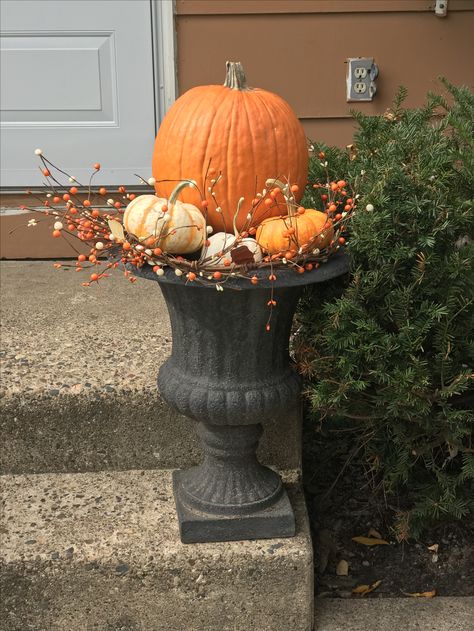 Fall planter with pumpkins Fall Urn, Fall Container Plants, Fall Pots, Brand Hoodies, Fall Container Gardens, Pumpkin Planter, Fall Pumpkin Decor, Fall Containers, Fall Planters