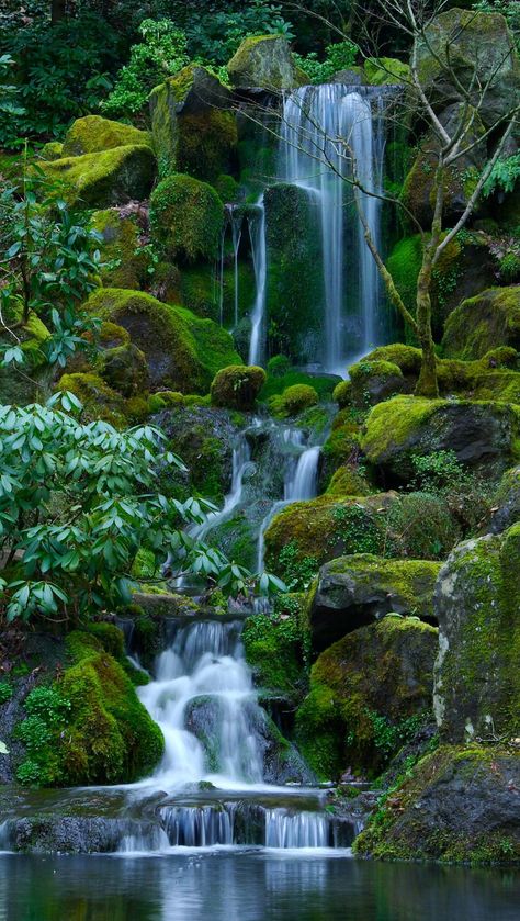 Waterfall Scenery, Magic Places, Small Waterfall, Beautiful Nature Wallpaper, Beautiful Waterfalls, Cool Pictures Of Nature, Beautiful Nature Pictures, Nature Landscape, Nature Scenes