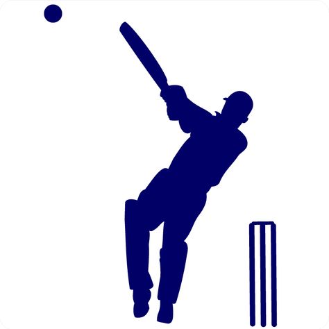 Brochure Ideas For School Project, Cricket Stumps, Cricket Theme Cake, Badminton Photos, Boy Sports Bedroom, About Cricket, Cricket Logo, Cricket Coaching, Birthday Morning Surprise