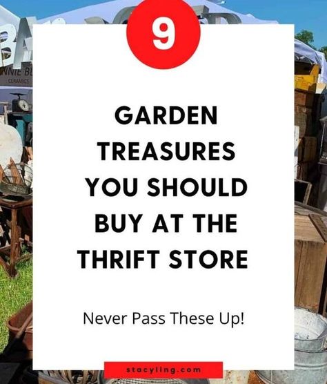 Looking for inexpensive and unique ways to display plants and flowers? You can find the best garden treasures for a song at the thrift store. Wait until you see the cool things you need to buy on your next bargain shopping adventure.I love a good deal, don’t you?Whether you are shopping at the local thrift store, flea market, garage, or estate sale, there are certain things you just can’t pass up for the garden.Brand new quality garden containers can be very costly.If you can find them… Ways To Display Plants, Thrift Store Shopping, Local Thrift Stores, Bargain Shopping, Garden Containers, Best Garden, Thrift Store Finds, Thrift Stores, Plants And Flowers