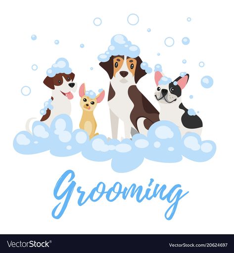 Pet Grooming Business, Pet Shop Logo, Soap Foam, Oxford Mississippi, Pet Grooming Salon, Online Logo Design, Pet Clinic, Pet Cleaning, Dog Years