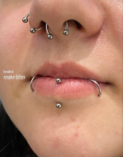 Triple Lip Piercing, Multiple Lip Piercings, Vertical Labret And Snakebites, Lip Piercing Vertical Labret, Vertical Labret Piercing Aesthetic, Lip Piercings Aesthetic, Vertical Labret Piercing, Vertical Labret, Snakebites