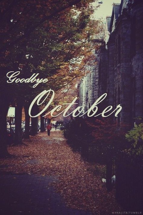 Little World of Beka: Life | Goodbye October, October 2016 Thanksgiving Letterboard, Goodbye October, Amsterdam Christmas, Cats Walking, Baking Cinnamon, Quotes Thanksgiving, Walking Video, Prom Photography Poses, Christmas Tumblr