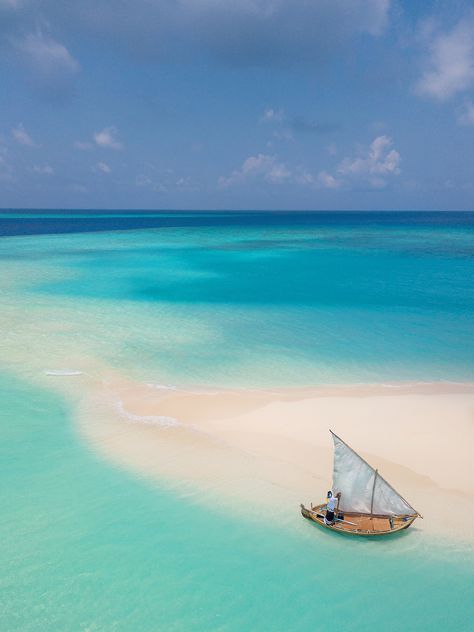 A piece of heaven - our private sandbank experience 😍🏝 . #fushifarumaldives #feelingfantastic #fushifaru #ilovefushifaru #visitmaldives #sunnysideoflife #maldives . . . #wanderlust #instatravel #funinthesun #travel #vacation Sandbank Maldives, Visit Maldives, Places Of Interest, Island Resort, Tropical Islands, Travel Vacation, Beautiful Beaches, Maldives, Insta Travel