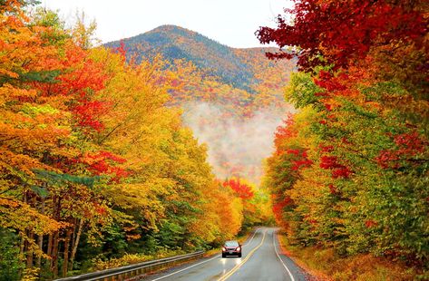 The Best Places to See Fall Foliage in the United States White Mountain National Forest, Fall Road Trip, Scenic Road Trip, Road Trip Routes, Leaf Peeping, New England Travel, New England Fall, Scenic Roads, Scenic Byway