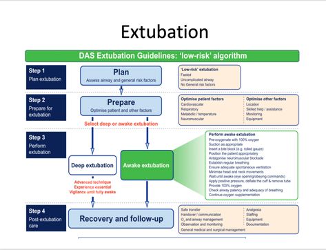 EXTUBATION IS RISKY BUSINESS. WHY THE CONCLUSION OF GENERAL ANESTHESIA CAN BE A CRITICAL EVENT - The anesthesia consultant Nurse Anesthesia Notes, Types Of Anesthesia, Anesthesia Technician, Anesthesia Tech, Vet Anesthesia Monitoring, Veterinary Anesthesia Monitoring, Gastrointestinal Nursing, Anesthesia School, Human Body Vocabulary