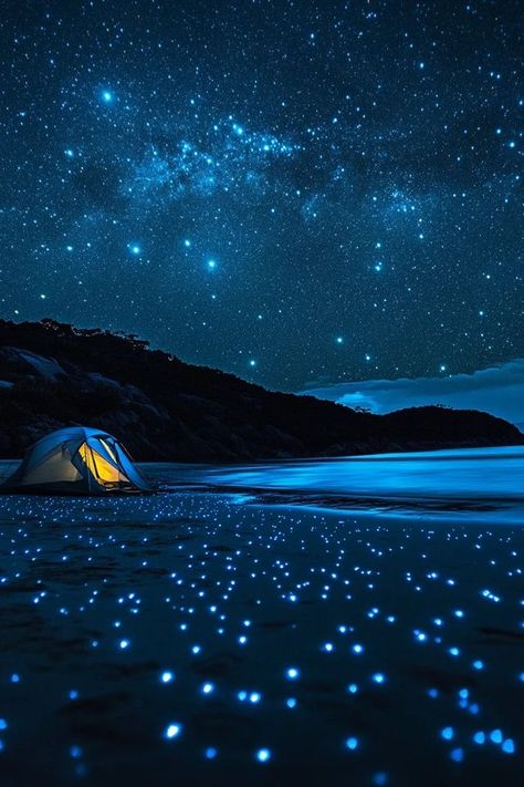 Pitch a tent under the stars and get ready for a magical night of camping! 🌌 These top camping spots offer clear skies, stunning views, and the ultimate outdoor adventure. ✨ #StarryNights #CampingAdventures #OutdoorLife #NatureLovers #Wanderlust Magical Night, Starry Nights, Camping Spots, Clear Sky, Under The Stars, Outdoor Life, Outdoor Adventure, Starry Night, Tent