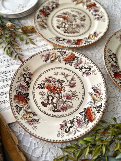 Antique Transferware Wedgwood Brown Transferware Bullfinch Brown 1880’s Rare Pattern A1620 Colonial Aesthetic, Modern Colonial, Vintage Shelf, Brown Transferware, Bullfinch, Antique Plates, Cool Tables, Collections Etc, Shades Of Pink