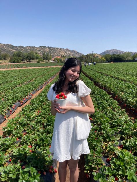 Strawberry Field Photoshoot, Cute Strawberry Picking Outfits, Strawberry Picking Aesthetic, Strawberry Picking With Friends, Strawberry Picking Pictures, Strawberry Picking Outfit, Strawberry Feild Pic, Strawberry Farm, Strawberry Picking