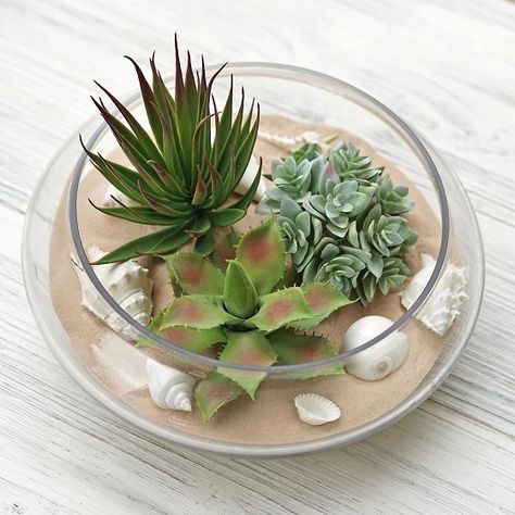 Artificial Succulent Arrangements, Garden Front Of House, Artificial Cactus, Seashell Decor, Faux Cactus, Beach Shells, Rustic Party, Succulent Garden Diy, Fake Succulents