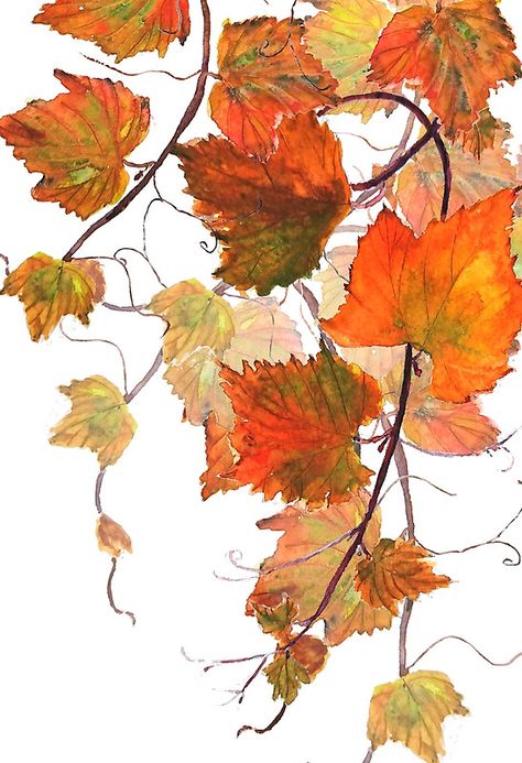 Grapevine Watercolor, Summer Wallpaper Phone, Autumn Leaves Art, Diy Watercolor Painting, Watercolor Projects, Fall Watercolor, Sunflower Art, Autumn Painting, Watercolor Leaves