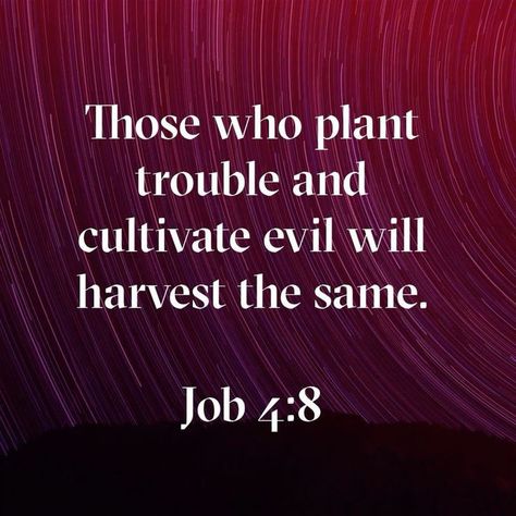 Reap What You Sow, Bible Study Verses, Biblical Inspiration, Christian Bible Quotes, Quotes Prayer, Prayer Scriptures, Inspirational Bible Quotes, Bible Knowledge, Biblical Quotes