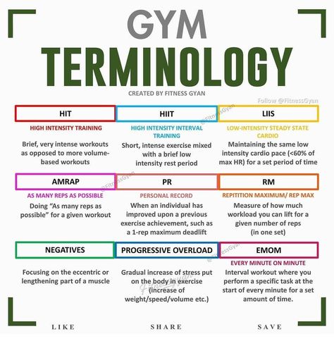 Personal Trainer Content Ideas, Gym Terminology, Gym Content, Fitness Infographic, Gym Workout Guide, Bodybuilding Workouts Routines, Workout Splits, Bodybuilding Workout Plan, Workout Training Programs