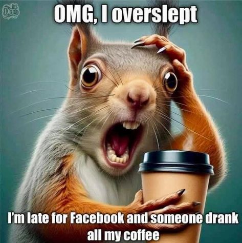 Friday Coffee Humor, Happy Saturday Morning Funny, Coffee Humor Hilarious Mornings Funny, Coffee Humor Hilarious, Funny Coffee Humor, Happy Saturday Morning, Saturday Coffee, Good Morning New Day, Friday Coffee