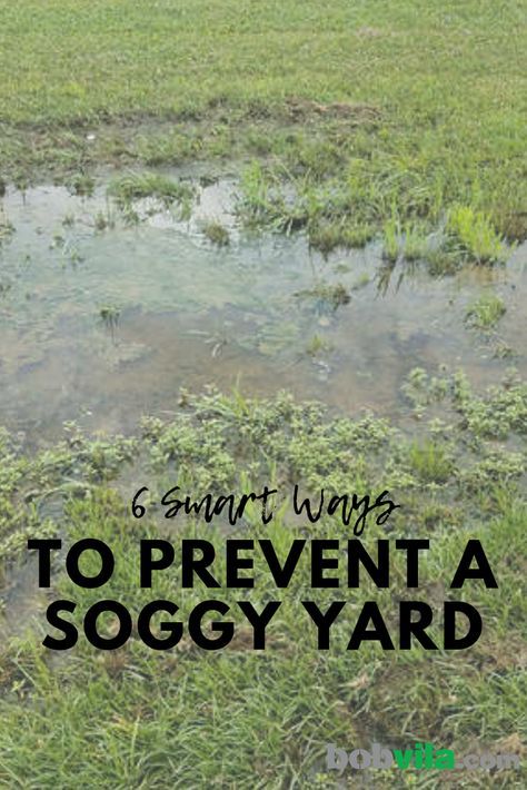 Soggy Yard, Flower Backyard, Yard Drain, Facts And Opinions, Truck Garden, Landscape Drainage, Backyard Drainage, Yard Drainage, Drainage Solutions