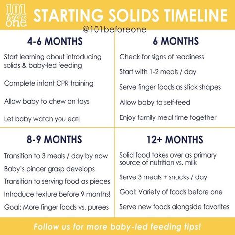 Blw Recipes 6 Months Starting Solids, Baby Weaning Recipes 6 Months, Introducing Baby Food, Introduce Solids To Baby, Weaning Toddler, Baby Food Guide, Infant Cpr, Baby Led Feeding, Baby Feeding Schedule