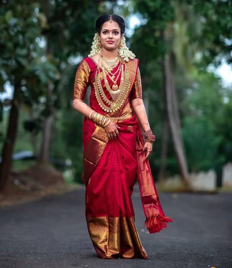 1,240 Likes, 4 Comments - Silks of India (@silksofindia) on Instagram: “Follow @silksofindia For silk Saree inspirations and collections. Pc: @pgweddings DM for…” Kerala Wedding Saree, Tamil Bride, Hindu Jewelry, Orang India, South Indian Wedding Saree, Dance Salsa, South Indian Bride Saree, Marriage Function, Kerala Bride