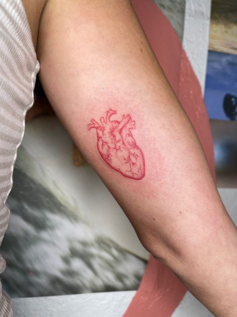 By Olli Ink Human Heart Tattoo, Realistic Heart Tattoo, Dm Tattoo, Red Heart Tattoos, See Tattoo, Anatomical Heart Tattoo, Small Heart Tattoos, Petite Tattoos, Red Ink Tattoos