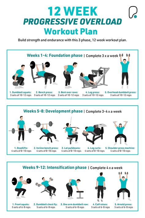 Avoid plateaus and build strength and endurance with this 12 week progressive overload workout plan Pull Strength Workout, Open Gym Workouts, Progressive Overload Training Plan, Strength Training Men, Ymca Workout Plan, Mens Weight Lifting Plan, 6 Week Workout Plan Gym, Progressive Overload Workout Plan For Women, Progressive Overload Training Program