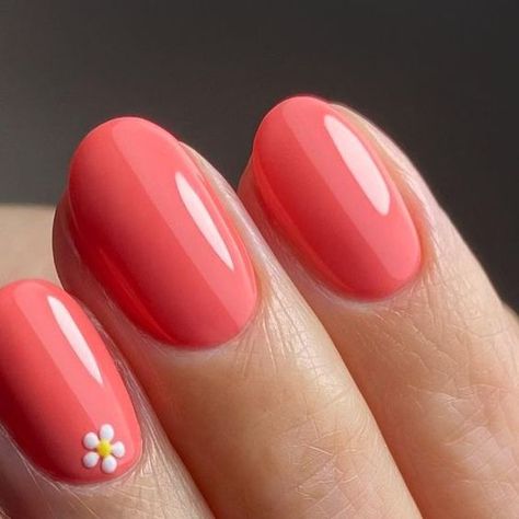 Oval Dip Nails Spring, Coral Flower Nails, Daisy Nails Pink, Spring Round Nails, Spring Nails Oval, Pink And Coral Nails, Summer Nails Daisy, Pink Coral Nails, Coral Summer Nails