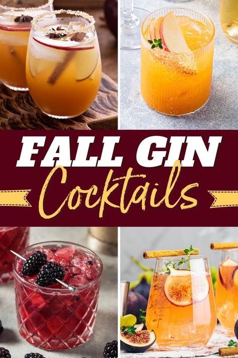 Kick your feet up, get cozy, and sip one of these gorgeous fall gin cocktails. They’re vibrant, tasty, and perfect for lifting your spirits on a cold day. Hendricks Gin Cocktails Fall, Fall Gin Sangria, Gin Pitcher Cocktail Recipes, Gin And Rum Cocktails, Gin Cocktails For Fall, Gin Cider Cocktail, Gin And Apple Cocktail, The Best Mixed Drinks, Bar Hill Gin Cocktails