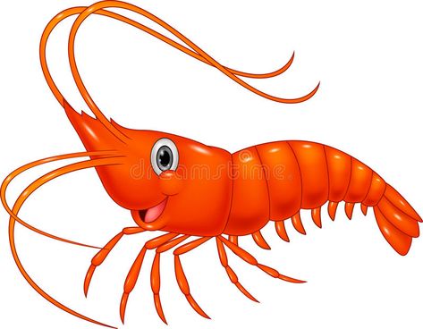 Cute cartoon shrimp. Illustration of cute cartoon shrimp , #spon, #cartoon, #Cute, #shrimp, #cute, #Illustration #ad Shrimp Clipart, Cartoon Shrimp, Shrimp Cartoon, Shrimp Stock, Cartoon Sea Animals, Crab Art, Cartoon Fish, Cartoon Clipart, Vector Graphics Design