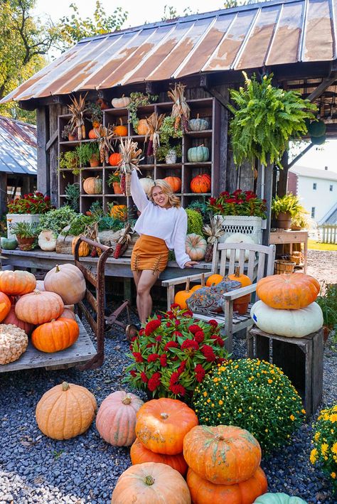 Pumpkin photoshoot autumn fall outfit ootd Fall Farmstand, Fall Farmers Market, Pumpkin Patch Aesthetic, Pumpkin Photoshoot, Pumpkin Patch Farm, Fall Minis, Ootd Autumn, Fall Container Gardens, Pumpkin Stands