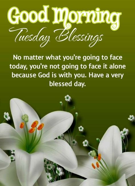 Good Morning Quotes For Tuesday, Good Morning Blessings Inspiration Beautiful, Good Morning Quotes Tuesday, Tuesdays Blessings, Tuesday Blessings Inspiration, Tuesday Blessings Mornings, Tuesday Morning Blessings, Good Morning Tuesday Quotes, Good Morning Tuesday Blessings