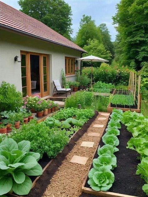 Dream Backyard Garden, Farm Plans, Home Vegetable Garden, Vegetable Garden Design, Backyard Garden Design, Front Yard Garden, Food Garden, Plants And Flowers, Dream Backyard