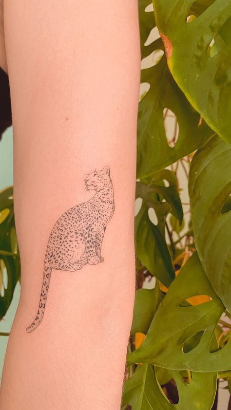 Bobcat Tattoos For Women, Cheetah Outline Tattoo, Leopard Face Tattoo For Women, Snow Leopard Tattoo Women, Small Cheetah Tattoo For Women, Fine Line Cheetah Tattoo, Fine Line Leopard Tattoo, Small Cheetah Tattoo, Leopard Symbolism