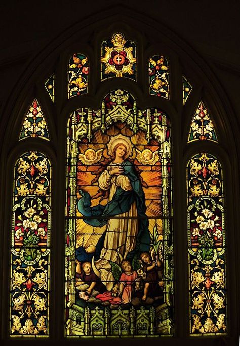 Stained Glass Historical, Stained Glass Virgin Mary, Stainglass Aesthetic, Stained Glass Chapel, Stained Glass Art Church, Church Glass Art, Church Glass Windows, Stained Glass Photography, Catholic Church Aesthetic