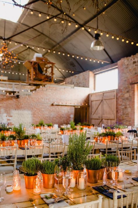 Brewery Wedding, Practical Wedding, Sustainable Wedding, Plant Table, Bridal Musings, Whimsical Wonderland Weddings, Space Wedding, Aisle Decor, Wedding Planning Advice