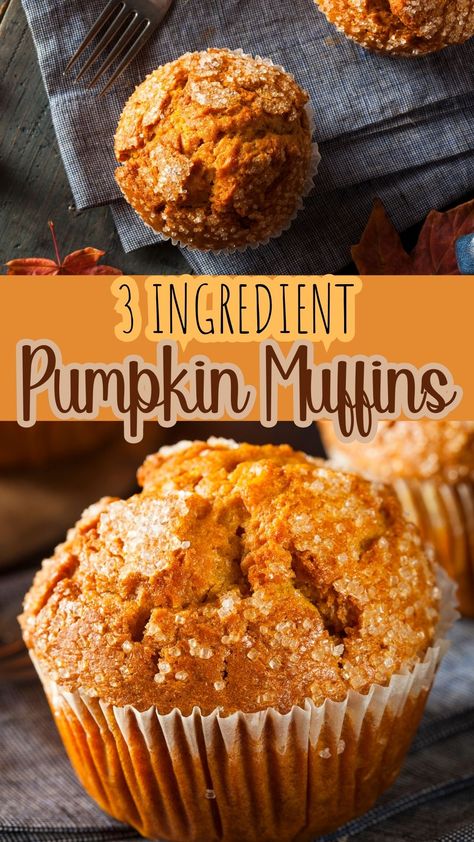 Looking for the perfect fall recipe? These Pumpkin Spice Cake Mix Muffins, a simple 3 ingredient pumpkin muffin recipe, will satiate your autumn appetite with a blend of comforting flavors. Using box cake mix, these make the perfect breakfast or brunch recipe. They even make a delicious fall dessert! Spice Cake Mix Muffins, 3 Ingredient Pumpkin Muffins, Pumpkin Spice Cake Mix, Pumpkin Cake Mix Muffins, Spice Cake Mix Recipes, 3 Ingredient Pumpkin, 2 Ingredient Pumpkin Muffins, Pumpkin Spice Cake Recipe, Pumpkin Cake Mix