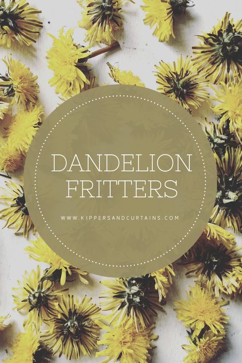 Dandelion fritters recipe Fried Dandelions Recipe, Fried Dandelions, Dandelion Fritters, Dandelion Leaves Recipe, Dandelion Foraging, Fish N Chips, Fish And Chip Shop, Foraged Food, Fritter Recipes