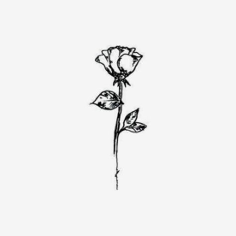 Decaying Rose Tattoo, Notebook Inspiration, Tattoo Thoughts, Holby City, Tattoo Inspo, Rose Tattoo, Diy Projects To Try, Maple Leaf Tattoo, Food Ideas