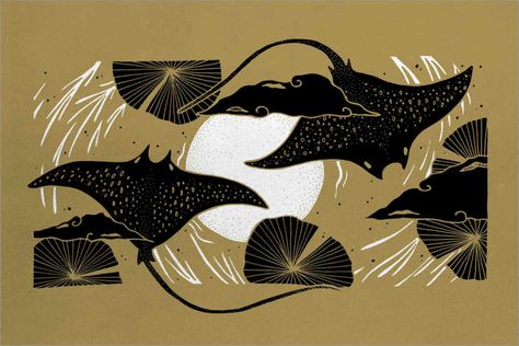 Mantaray Wallpaper, Dj Branding, Manta Ray Art, Black Manta, Manta Rays, Safe Zone, Moon Images, Beachy Vibes, Feminine Art