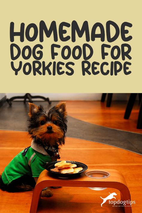 Yorkie Food Homemade, Homemade Dog Food For Yorkies, Homemade Senior Dog Food, Homemade Dog Food For Small Dogs, Homemade Dog Food Recipes Vet Approved Small Dogs, Diy Dog Food Recipe For Small Dogs, Farmers Dog Copycat Recipe, Homemade Dog Food Recipes For Small Dogs, Maggie Food