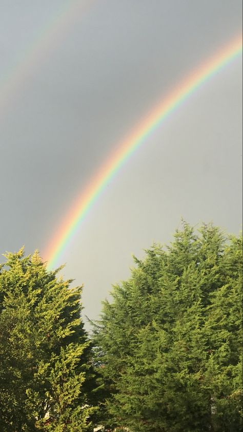 Real Rainbow Wallpaper, Aesthetic Rainbow, Rainbow Pictures, Field Wallpaper, Rainbow Photo, Rainbow Sky, Rainbow Pastel, Brown Hair Brown Eyes, Pretty Aesthetic