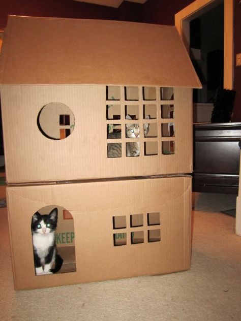 My next craft project Cat Box Furniture, Cardboard Box Houses, Cardboard Cat House, Cardboard Cat, Cat House Diy, Cat Towers, Cardboard House, Cat Condo, Cat Box