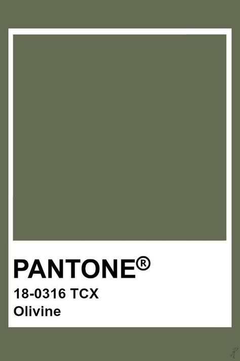 Pantone Olive Green, Petrichor Candle, Olive Pantone, Pantone Tcx, Pantone Green, Pantone Color Chart, Pantone Swatches, Loden Green, Pantone Palette