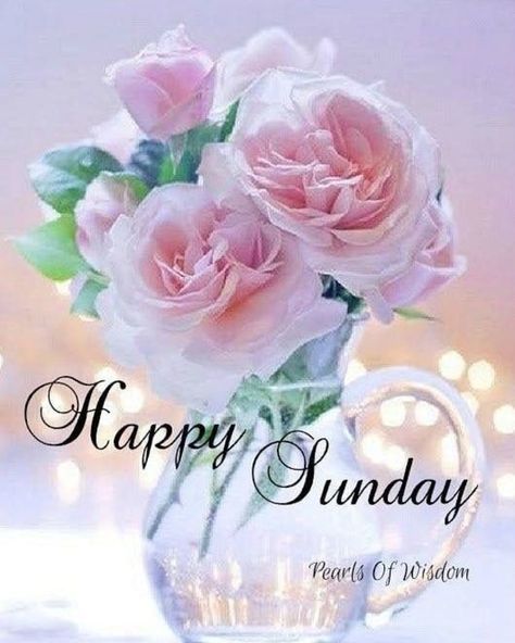 10 New Best Sunday Blessings Images Happy Sunday Flowers, Sunday Morning Images, Happy Sunday Images, Good Morning Sunday Images, Happy Sunday Morning, Sunday Morning Quotes, Sunday Greetings, Sunday Wishes, Sunday Images