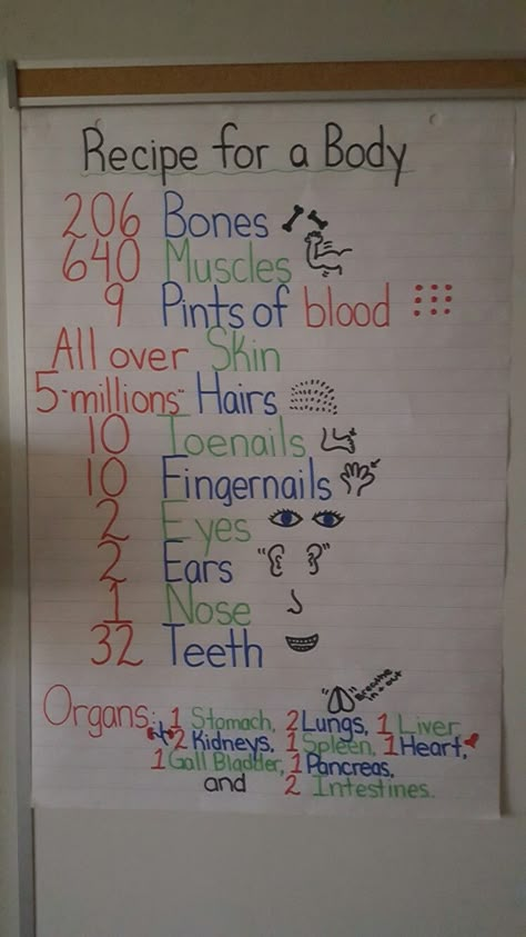 Recipe for a Body! #science #allaboutme 1st Grade Human Body Unit, 1st Grade Human Body Activities, Human Body Activities For Kids, Health Science Classroom, Human Body Science Projects, Human Body Lesson, Human Body Unit Study, Body Science, Human Body Science