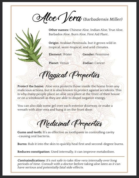 Aloe Magical Properties, Aloe Vera Magical Properties, Herb Witchcraft, Magic Bathroom, Grimoire Inspiration, Witchy Herbs, Witchcraft Spells For Beginners, Magickal Herbs, Medicinal Herbs Garden