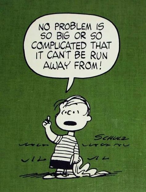 I want to run from most problems. It is only reluctantly that i deal with them. Calvin And Hobbes Quotes, Peanuts Quotes, Charlie Brown Quotes, Woodstock Snoopy, Snoopy Quotes, Snoopy Pictures, Snoopy Love, Charlie Brown Peanuts, Charlie Brown And Snoopy