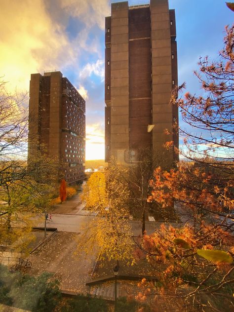 🌆 Experience the beauty of autumn from the heights of UMass Amherst! 🍂 Peer through this window and witness a stunning urban tapestry. 🏙️ Towering buildings reach for the sky, while lush trees paint the backdrop in shades of 🍊orange and ✨gold. 🌳 Nature meets city in perfect harmony. 🍃#fall #UMassViews #AutumnSplendor #UrbanBeauty #TimelessElegance 🍁🌇 Umass Amherst, College List, Urban Beauty, Going To University, Dream College, Orange And Gold, The Heights, Grad School, Shades Of Orange