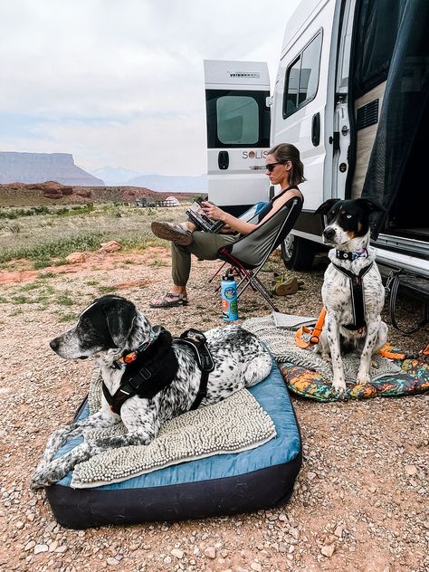 It is important to understand basic campground etiquette for dogs (and their owners) before you head out on your next RV trip. Keeping these simple rules and tips in mind will help ensure everyone in the campground stays safe and happy!🐕 ⁠ Dog Food Bowl Stand, Rv Dog, Rv Pet, Camping With Dogs, Camping Dog, Rv Dreams, Pet Camping, Rv Trip, Short Dog